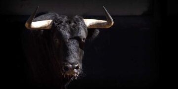 Dow Jones Futures: Market Rally Shows Strength, Resilience; Why These 2 Chip Stocks Matter